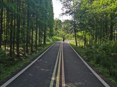 -宜兴龙背山森林公园