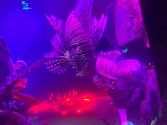 -沈阳海洋探索中心