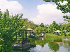 -成飞公园