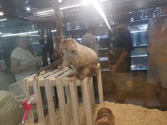 -宠物世家(仲盛世界商城店)