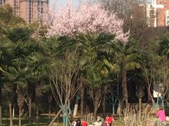 -堤角公园