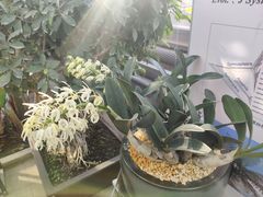 -国家植物园南园