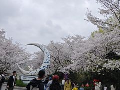 -杭州少年儿童公园