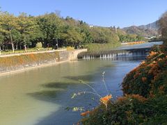 -攀枝花公园