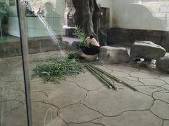 -宁波野生动物园