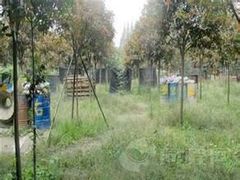 -勇士之星真人CS·团建·拓展(清水河公园店)