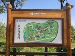 -田园东方蜜桃村的田野营地