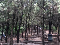 -青州市云门山风景区