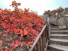 -北京十三陵国家森林公园蟒山景区