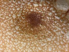 -百花人家(清水镇店)