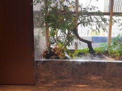 -海立阁海鲜江浙菜(漕河泾印象城店)