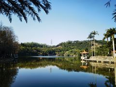 -深圳仙湖植物园