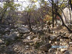 -沂蒙山旅游区云蒙景区(蒙山国家森林公园)
