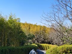 -天目湖涵田度假村