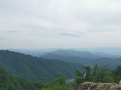 -王顺山国家森林公园