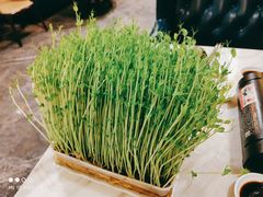 -美姿水荟美食水疗