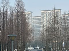 -青岛西海岸隆和福朋喜来登酒店