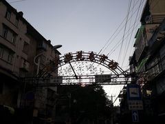 -溪岸路花鸟市场