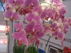 -远洋未来汇