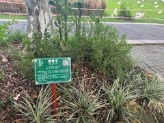 -广西壮族自治区药用植物园