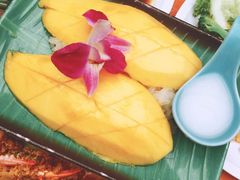 -Jungle Kitchen