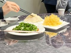 -丁老爷子苏香圆