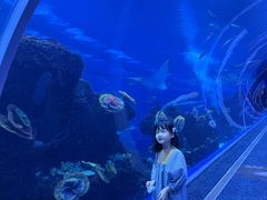 -成都浩海立方海洋公园