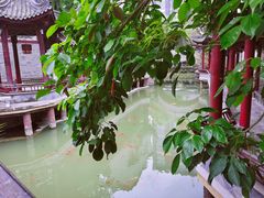 -龙潭水乡