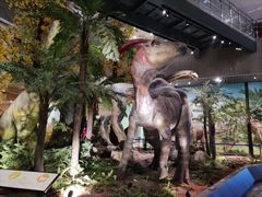 -湖南省地质博物馆