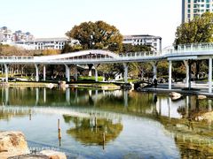 -昆山城市公园
