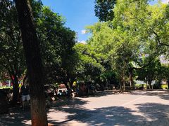 -白沙古井