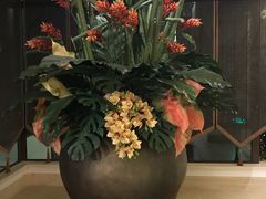 -苏州湾王焰温泉度假酒店