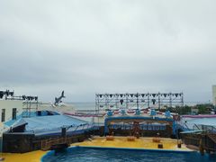 -海合安青岛极地海洋公园
