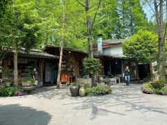 -青城甲(青城山店)