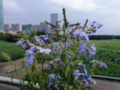 -艾溪湖湿地公园