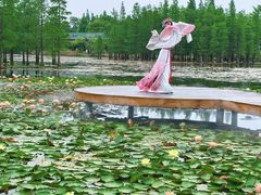 -白鹭湾湿地公园