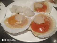 烤扇贝-川骄海鲜自助(河东店)
