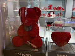 -ROSEONLY诺誓(广州K11店)