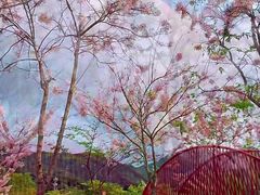 -白石龙音乐公园
