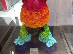 -ROSEONLY诺誓(广州K11店)