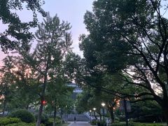 -三锐体育游泳中心