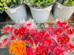 -循礼门鲜花花市(武汉循礼门店)