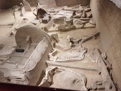 -洛阳周王城天子驾六博物馆