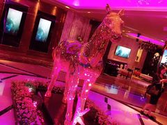-纯K(打浦桥店)
