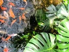 -上海大自然野生昆虫馆(东方明珠·爬宠昆虫探索中心)