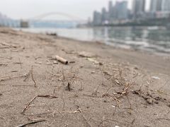 -重庆市江北嘴中央商务区中央公园