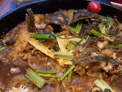 -老板恋上鱼(恒隆广场店)