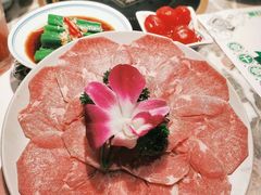 -禄婶鸡煲·打边炉