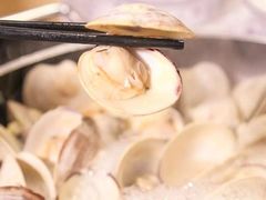 -拾下卜卜贝•海鲜火锅