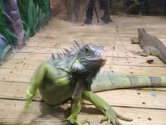 -石家庄市动物园